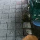 혜표