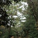 제주 올레길 17코스 이미지