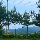 삼화리 동광 캠핑장 이미지