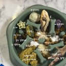 멍냥디저트 이미지