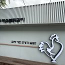 청춘춘천닭갈비