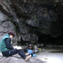 너에게로또 이미지