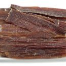 좋은강아지 이미지