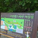 원리 농구장 이미지