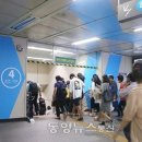 프리디자인 이미지