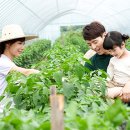 주식회사그린산업 이미지