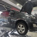 타이어프로주례점 이미지