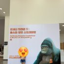스토리텔링 | 아이랑 가볼만한곳 앤서니브라운 마스터오브 스토리텔링 전시회후기