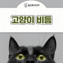 왜관동물병원 이미지