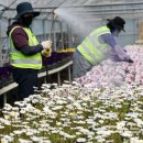 백양산 양묘장 이미지