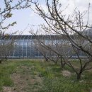 강변농장 이미지