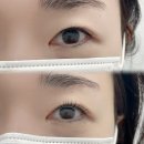 검단속눈썹펌 잘하는 핀업래쉬 유지기간 길어요