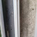 수원-1446 이미지