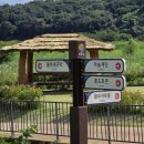 버들고개 화장실 | 임진강댑싸리공원개장 모든정보 9월1일축제시작 연천 풍경있는 가볼만한곳 댑싸리축제 경기 북부...