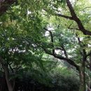 인월중학교 Daum카페