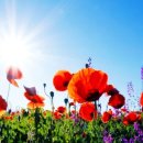 햇살가득한치과의원 이미지