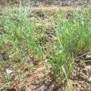 늘밭농장 이미지