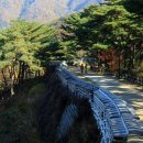 삶과 죽음 이미지