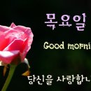 5월 이미지