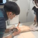 호계동물병원 이미지