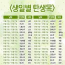 디데이분들과 함께 하면 재밌는 생일별 탄생목🌳 이미지