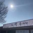 학신로-2 | 구미 장천면 맛집 더백수 오리불고기 평일 점심 솔직후기