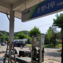 은행나무주유소 이미지