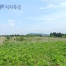 성읍리-27 Daum카페