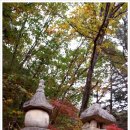 화담당 경화탑 이미지