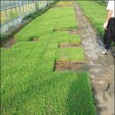 삼배농장 이미지