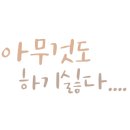 다대포 돌짜장 이미지