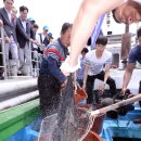 팔딱팔딱 이미지