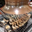 장어촌 | 강원도 정선 맛집, 갈래장어촌 방문 후기