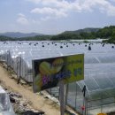 지인농장 이미지