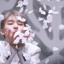 솔로아트 이미지