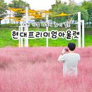관평천 | 대전 현대프리미엄아울렛 가을 나들이 핑크뮬리 명소 추천