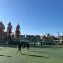봉곡 운동장 | ⚽🌟 꿈을 키우는 곳! 창원선수육성 '베스트풋볼아카데미' 우리아이 주말 취미반 후기