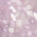 그림풍경 이미지