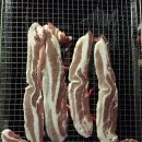 강진목장 | 강진 바다목장 펜션 찐 후기 !