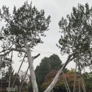 삼화탕 | 북촌, 늦가을비 맞으며 걸어본다