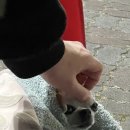 꼬꼬아찌백양점 이미지