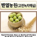 벧엘농원(고전녹차.매실가공) 네이버블로그