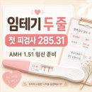 기쁨플러스약국 | 임테기 두 줄 확인 후 첫 병원 방문｜피검사 수치 285.31