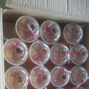 LCI수완유치원 이미지