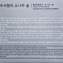 영주 가볼만한 곳 유네스코 자연유산 '부석사', 소수서원