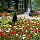 봄꽃한의원 이미지