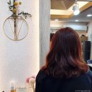 셰어벨 | 속초미용실 셰어벨 : 드라이 없이도 자연스러운 단발웨이브