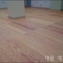 새소망어린이집 이미지