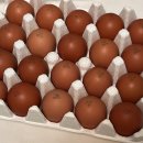 행복양계장 | 자연방산 상황버섯 먹인 난각1번 양계장청년 유정란 20구 후기