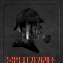 베스트에셋 이미지